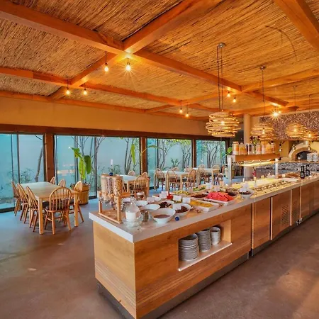 호텔 Faros Bodrum - Special Category 골터크부쿠