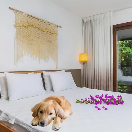 Faros Bodrum - Special Category 호텔 골터크부쿠