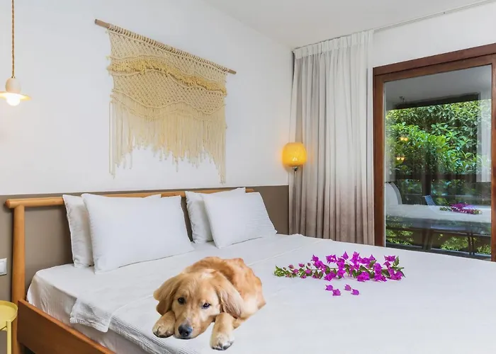 Faros Bodrum - Special Category Otel Göltürkbükü